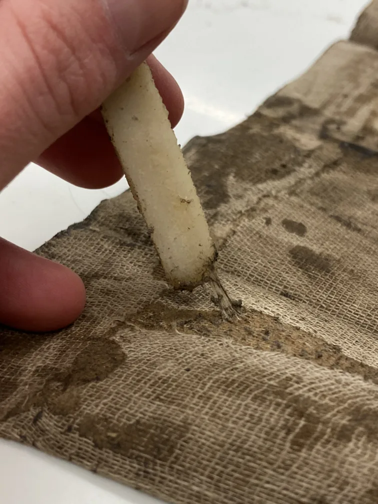 Liimi eemaldamine Crepe Eraseriga.